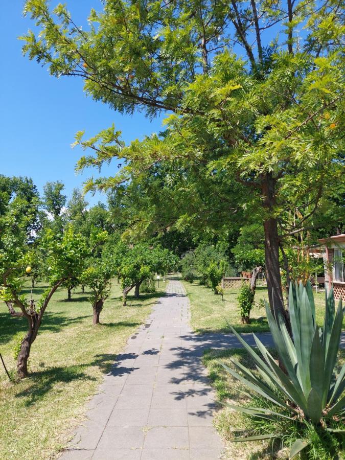 Villa Piersepp B&B Трапитело Екстериор снимка